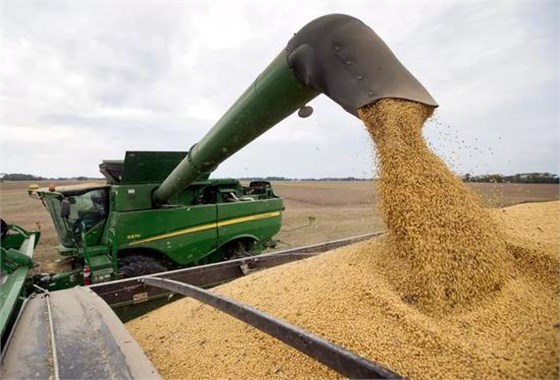  ▲资料图片：在美国印第安纳州的一处农场，农民在收割大豆。（美联社）