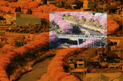 风景好卡